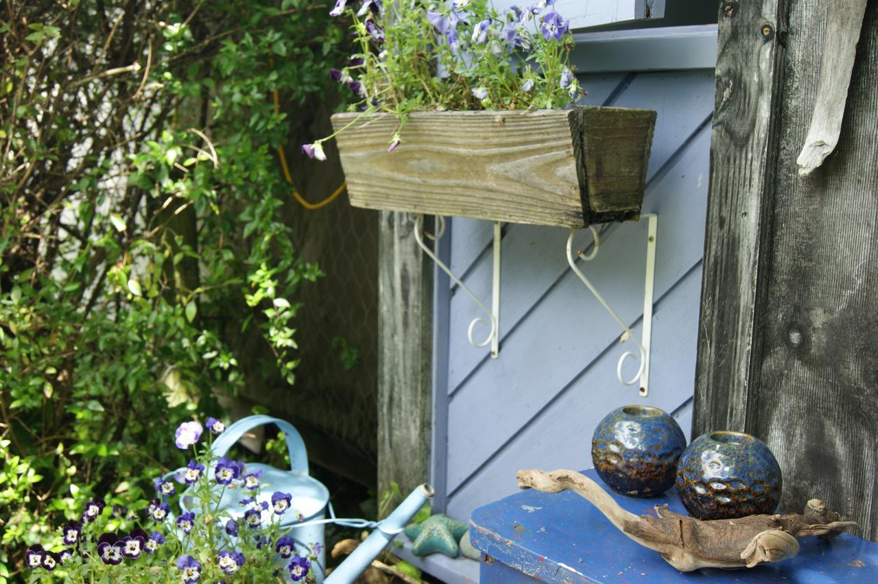 Waitapu Springs B&B Takaka Exteriör bild